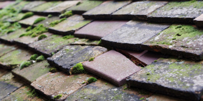 Arlingham roof repair costs